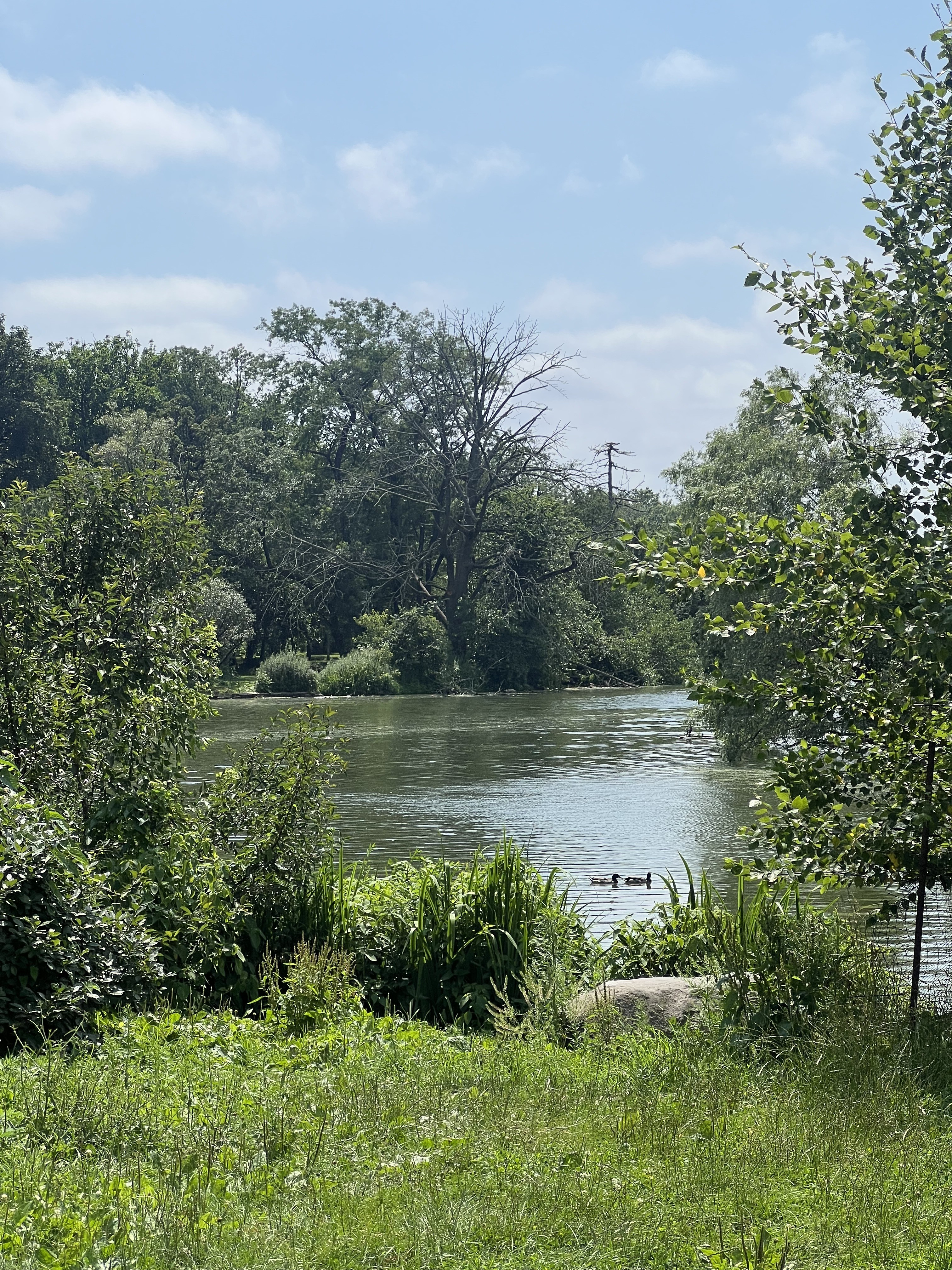 Prospect Park Brooklyn